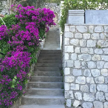 Prázdninový dům Paradiso Capri